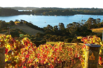 Autumn on Waiheke